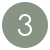 Circled 3 Icon