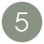 Circled 5 Icon